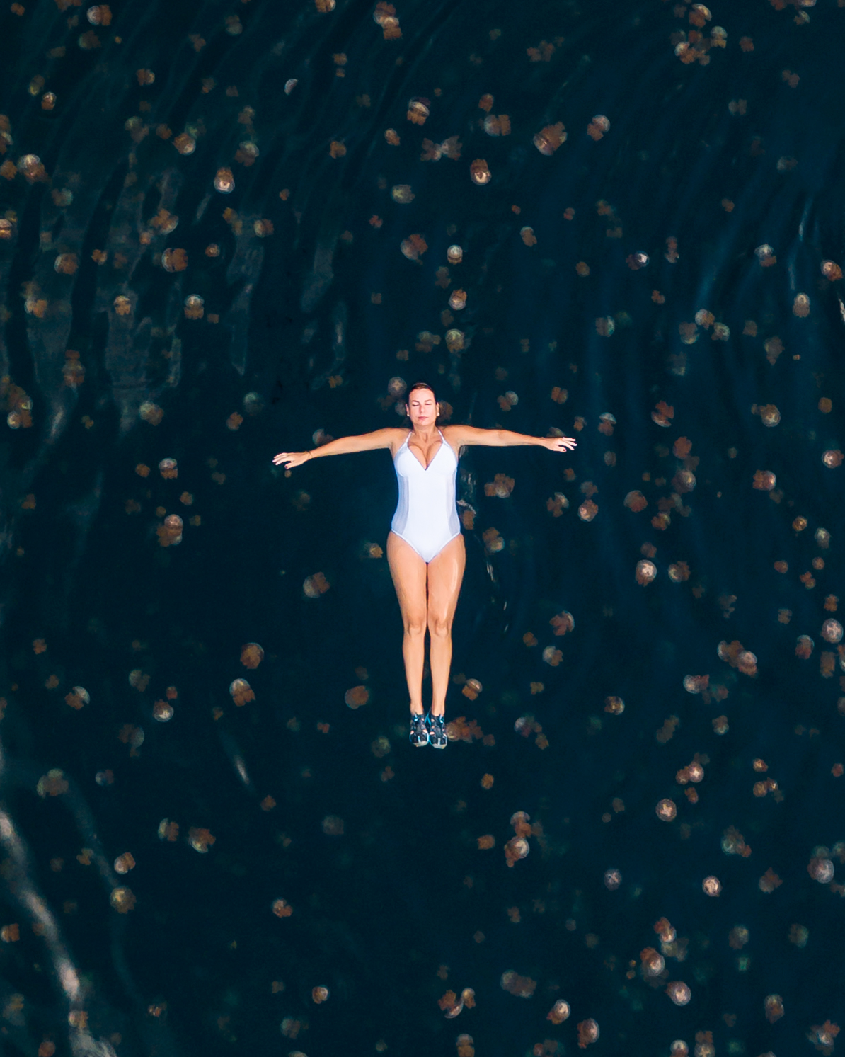 Aqua Blu - Swimming wIth Jellyfishes - 02.jpeg