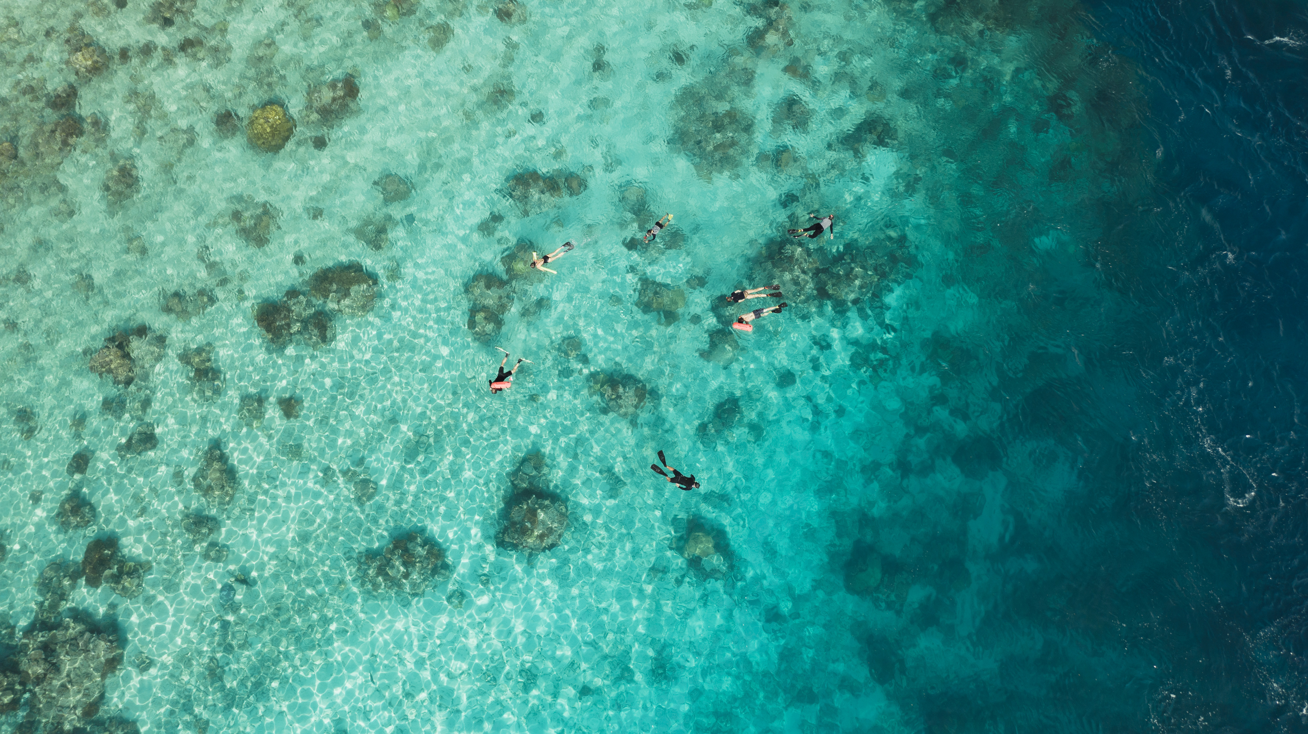 Aqua Blu Snorkeling