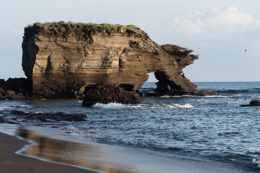 puerto egas