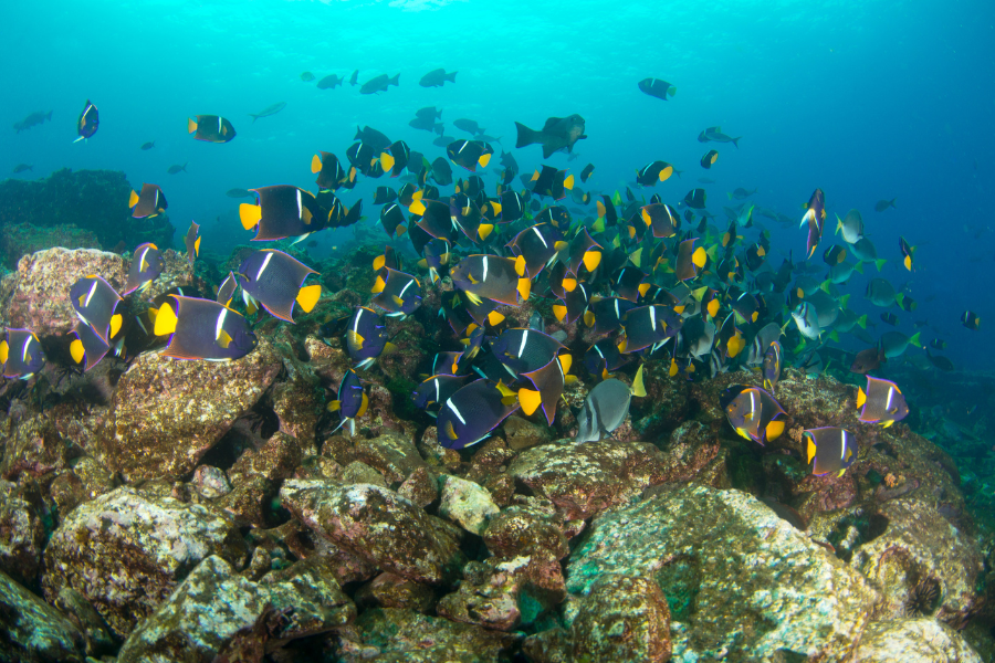 Osborn Islet