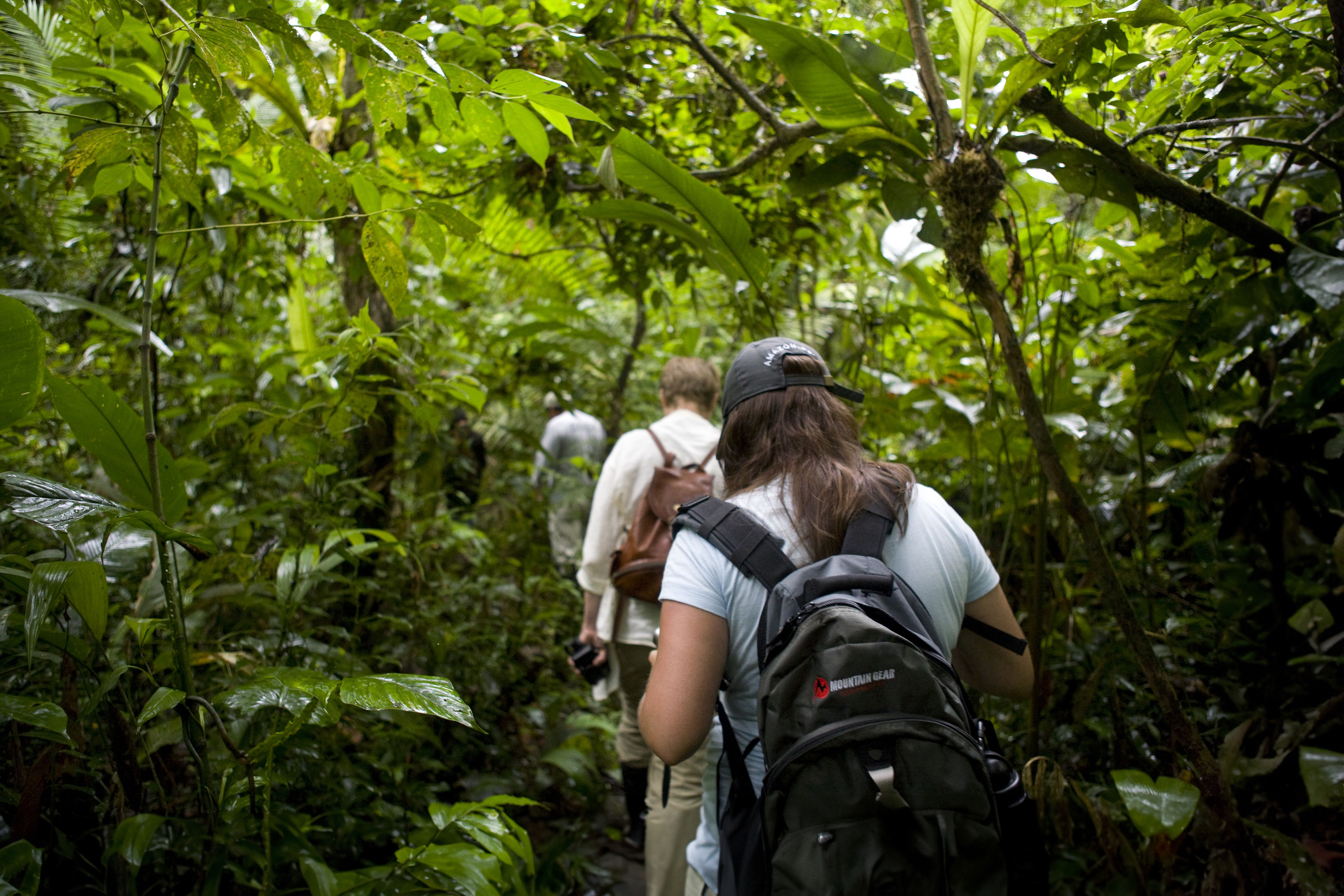 amazon jungle trekking