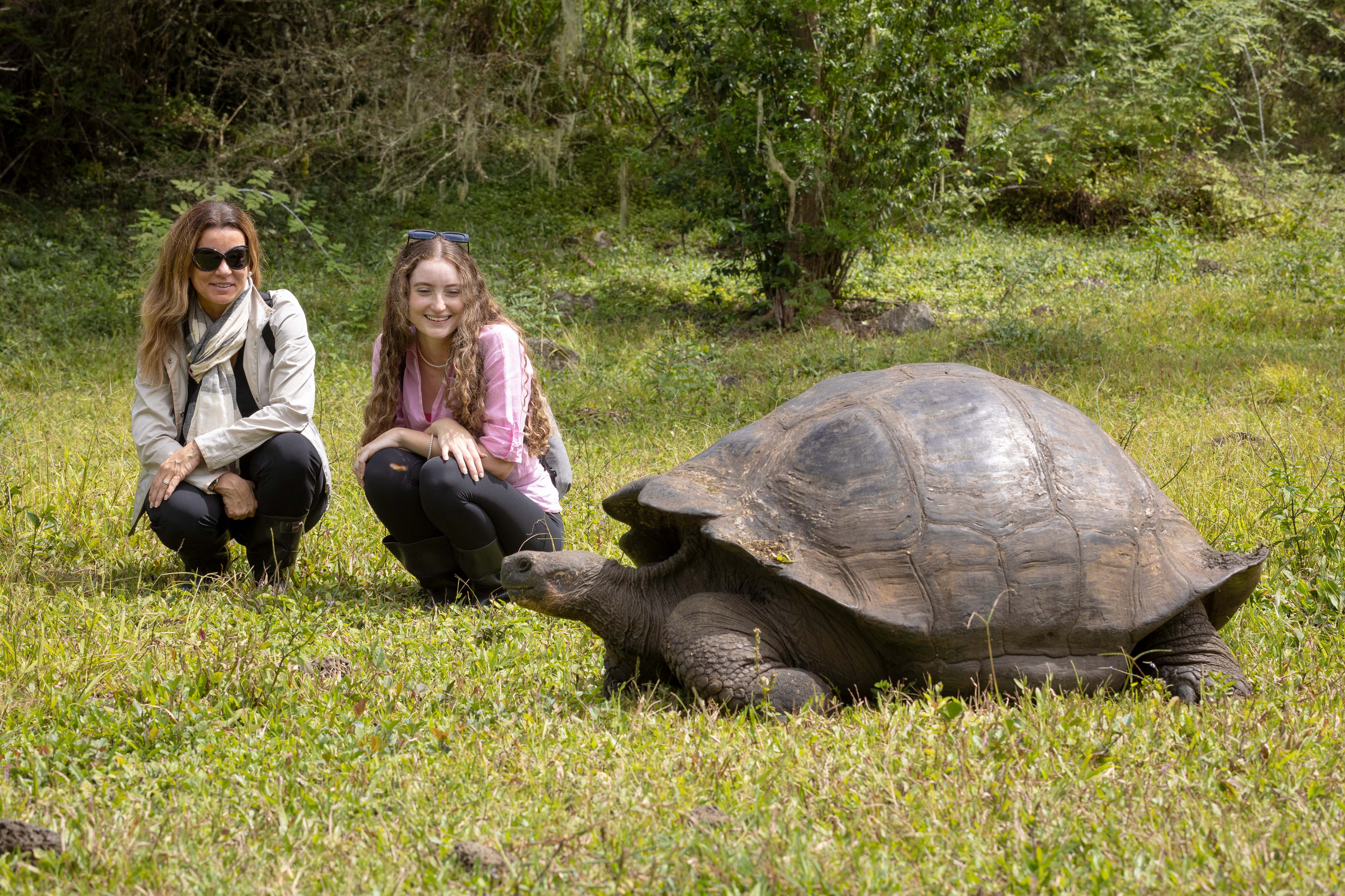 Aqua Mare guests with giant tortoise