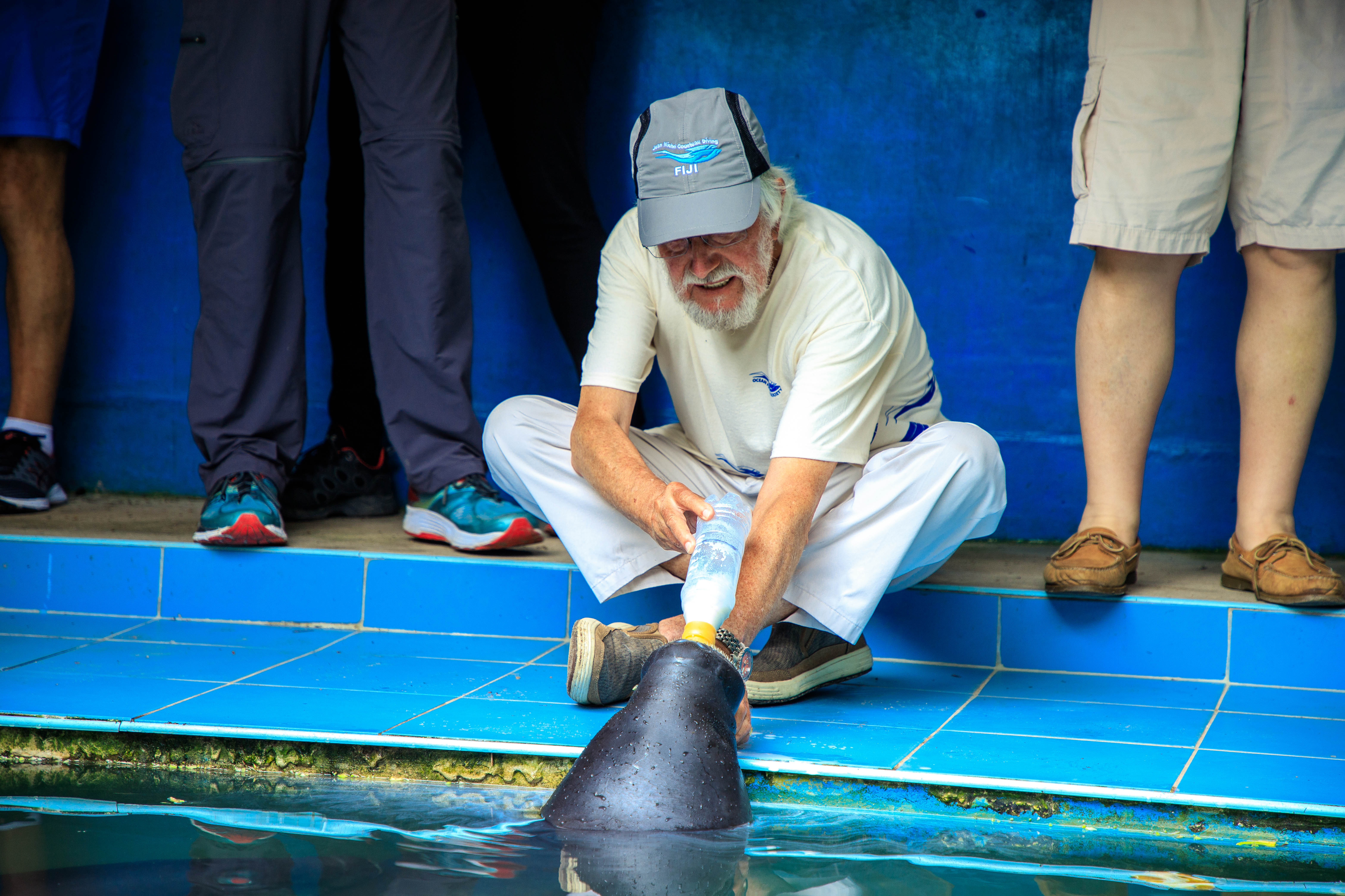 jean michael cousteau manatee