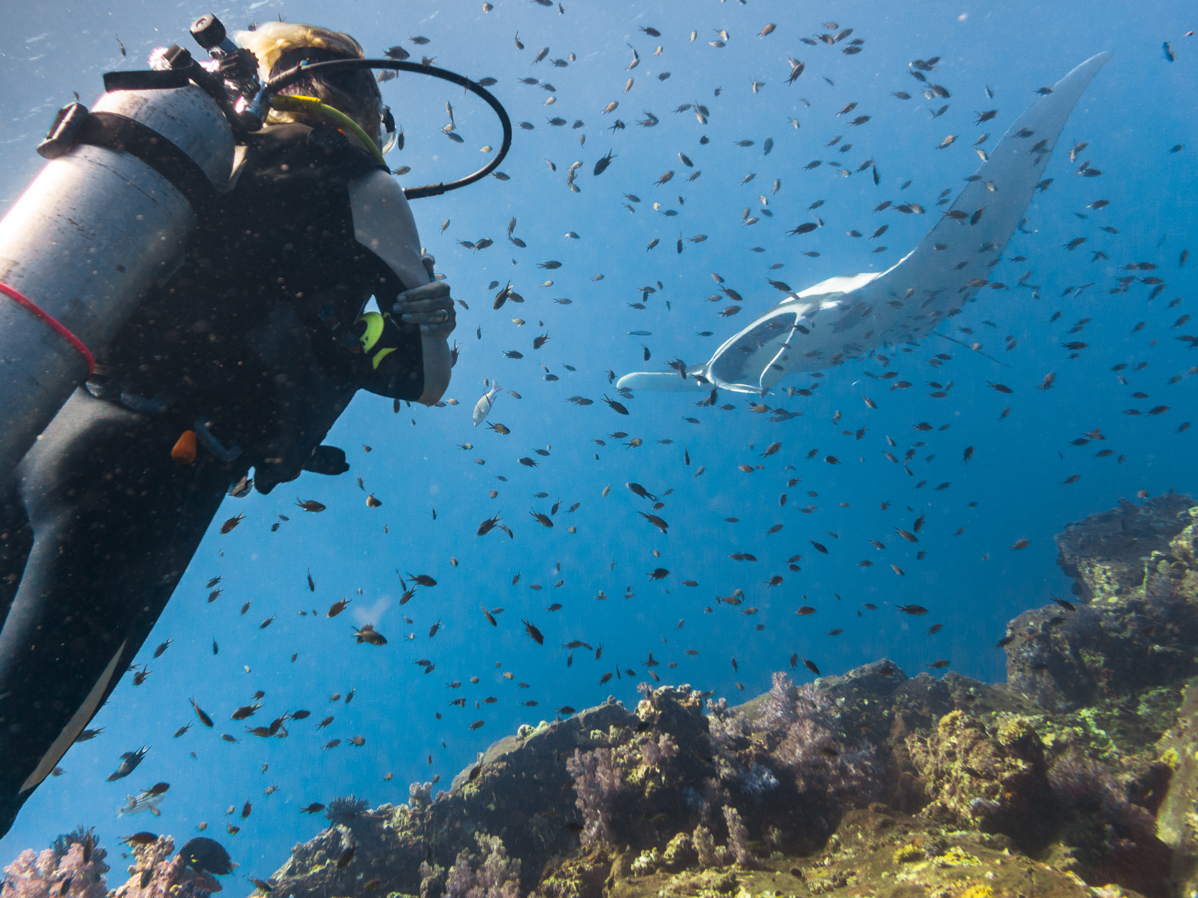 Top 10 Locations to Go Diving and Snorkeling in East Indonesia