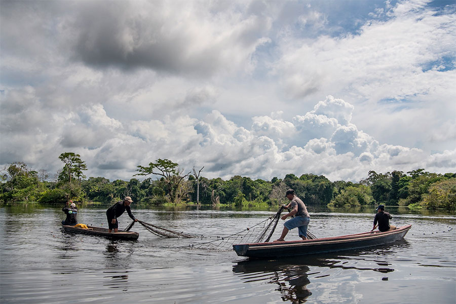 fishing in the amazon