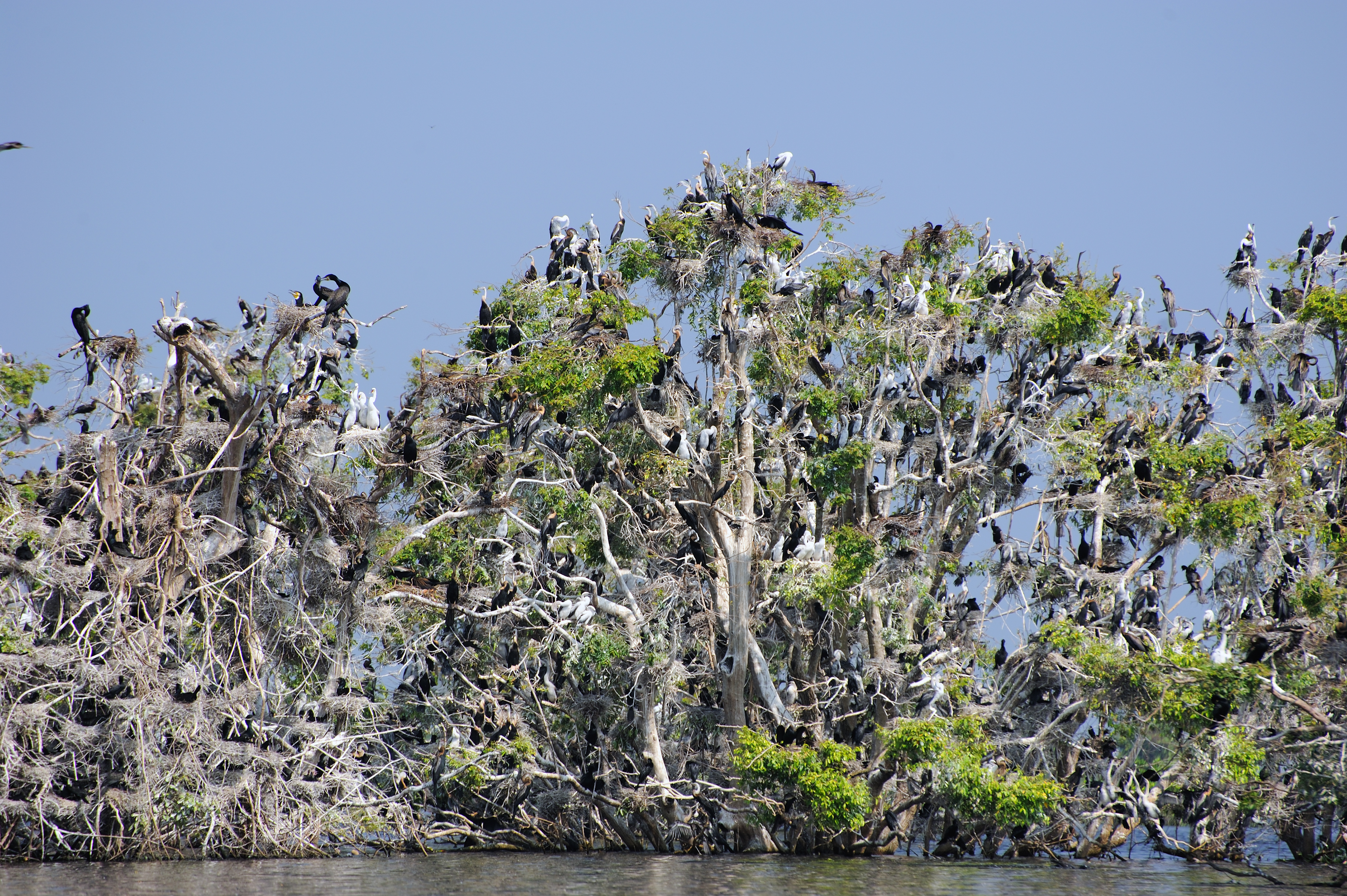 Tonle Sap Lake