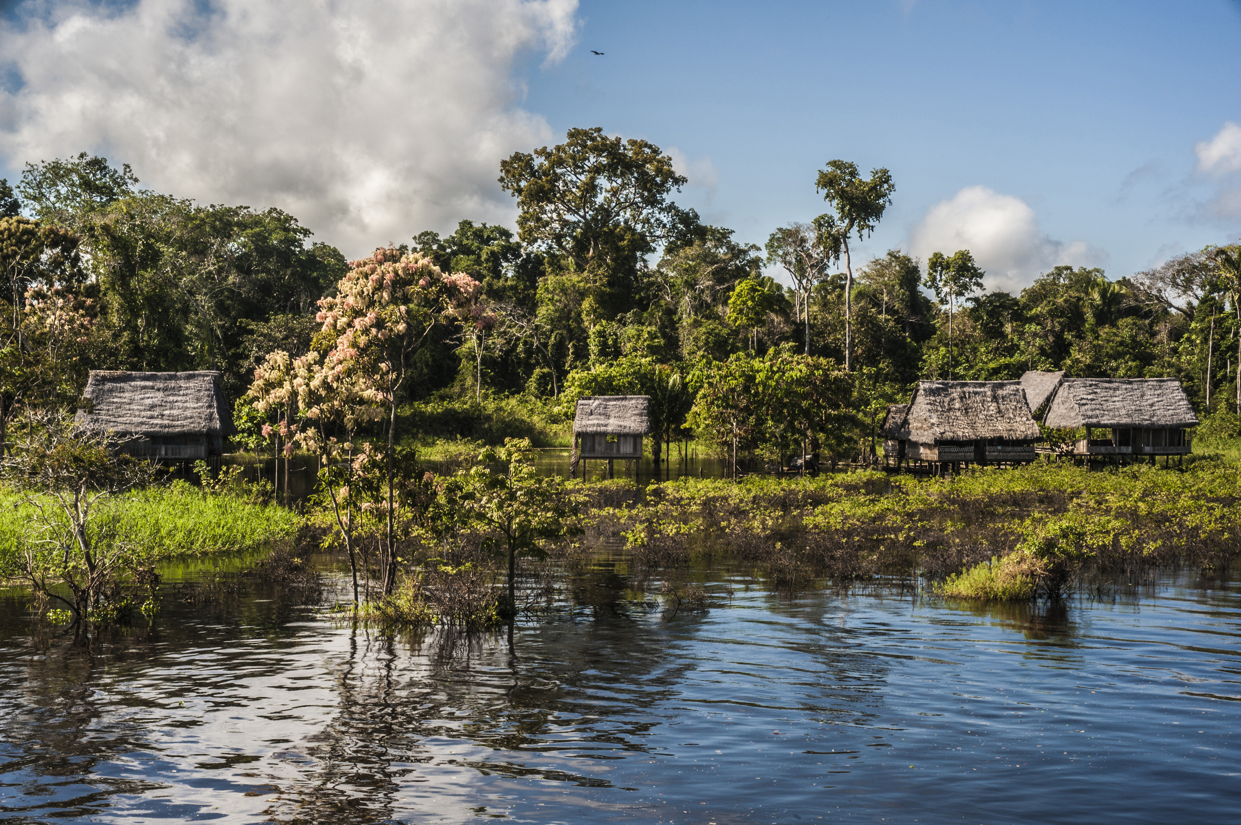 pacaya-samiria-national-river-maranon-river