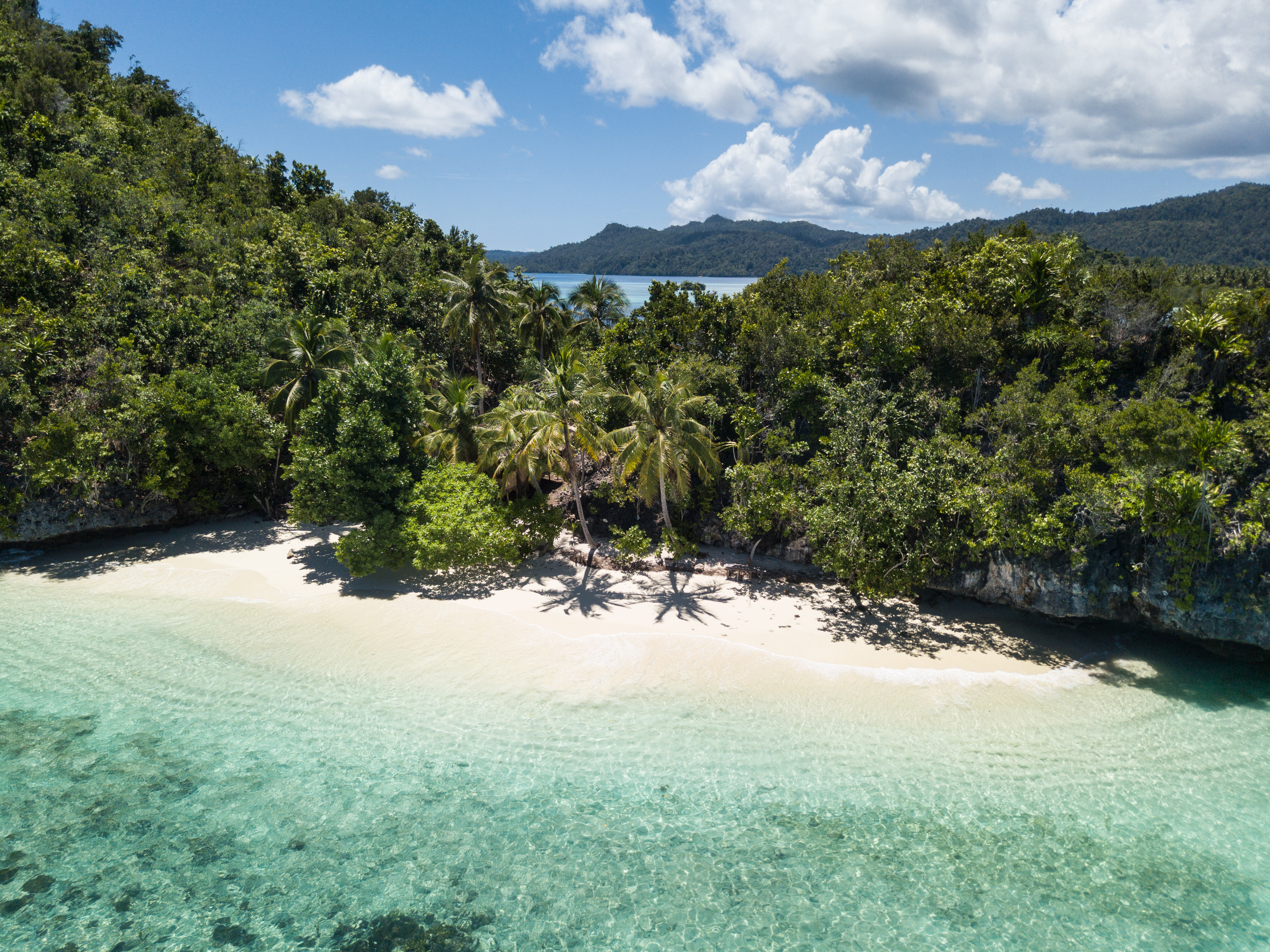 raja ampat beach