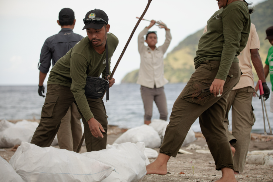 beach clean up