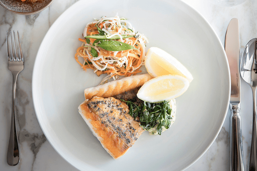 barramundi fish