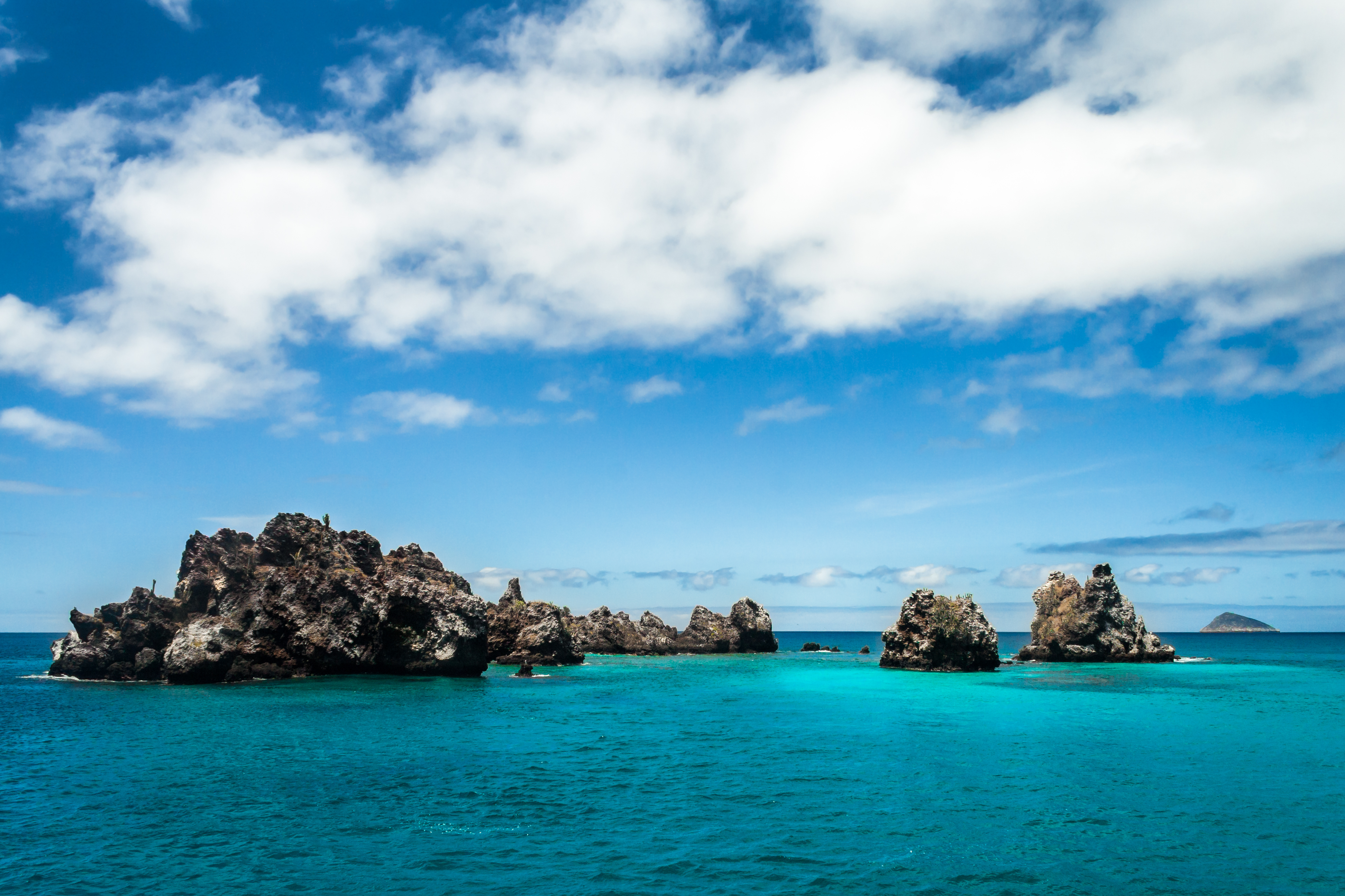 devils-crown-floreana-island-punta-cormorant