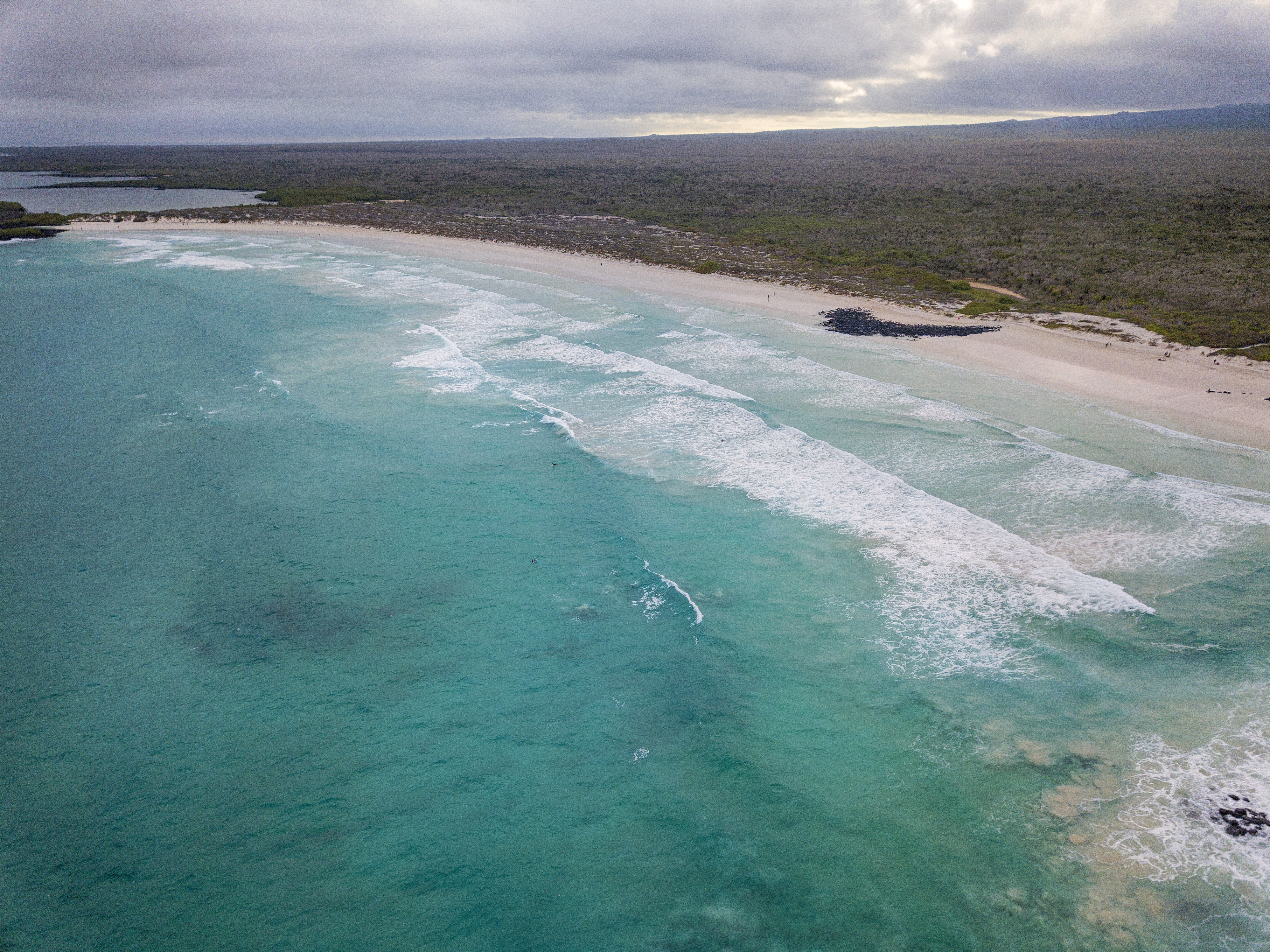 tortuga-bay-santa-cruz-island