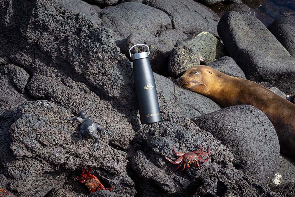 Aqua Mare_Guest Experience_Aqua Bottle_01.jpg