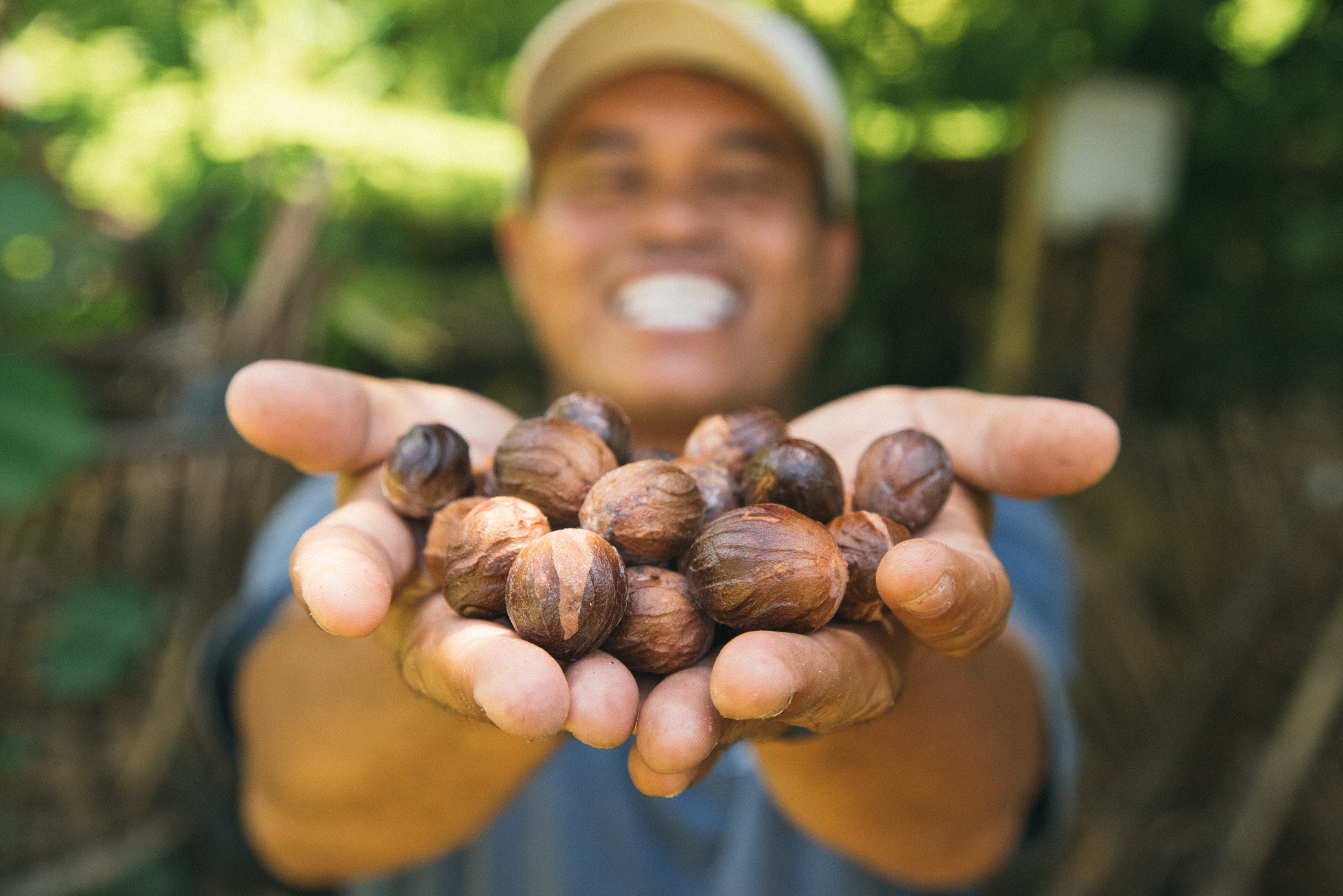 Spice Islands - Nutmeg Plantation- 04.jpg