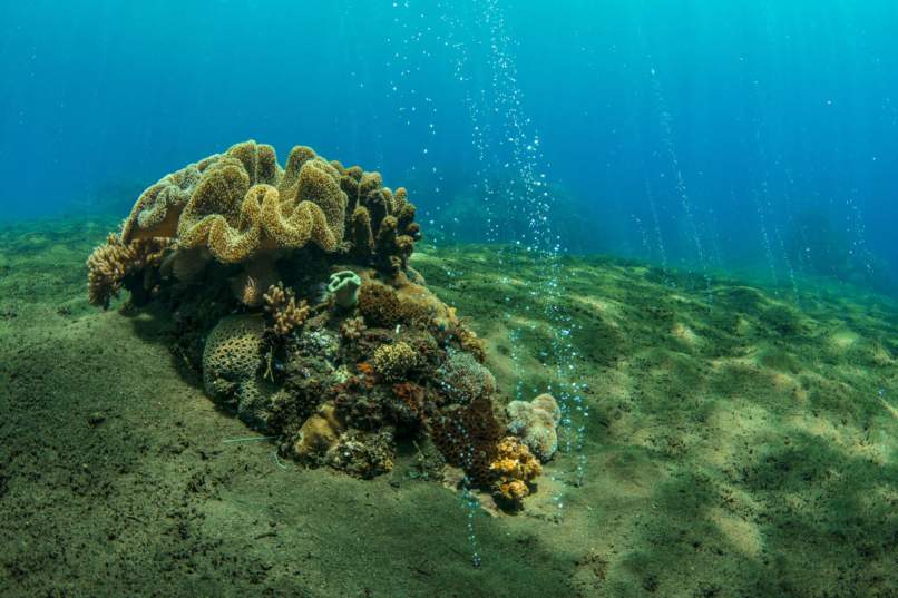 spice-islands-underwater-themal-spring-806x537.jpg