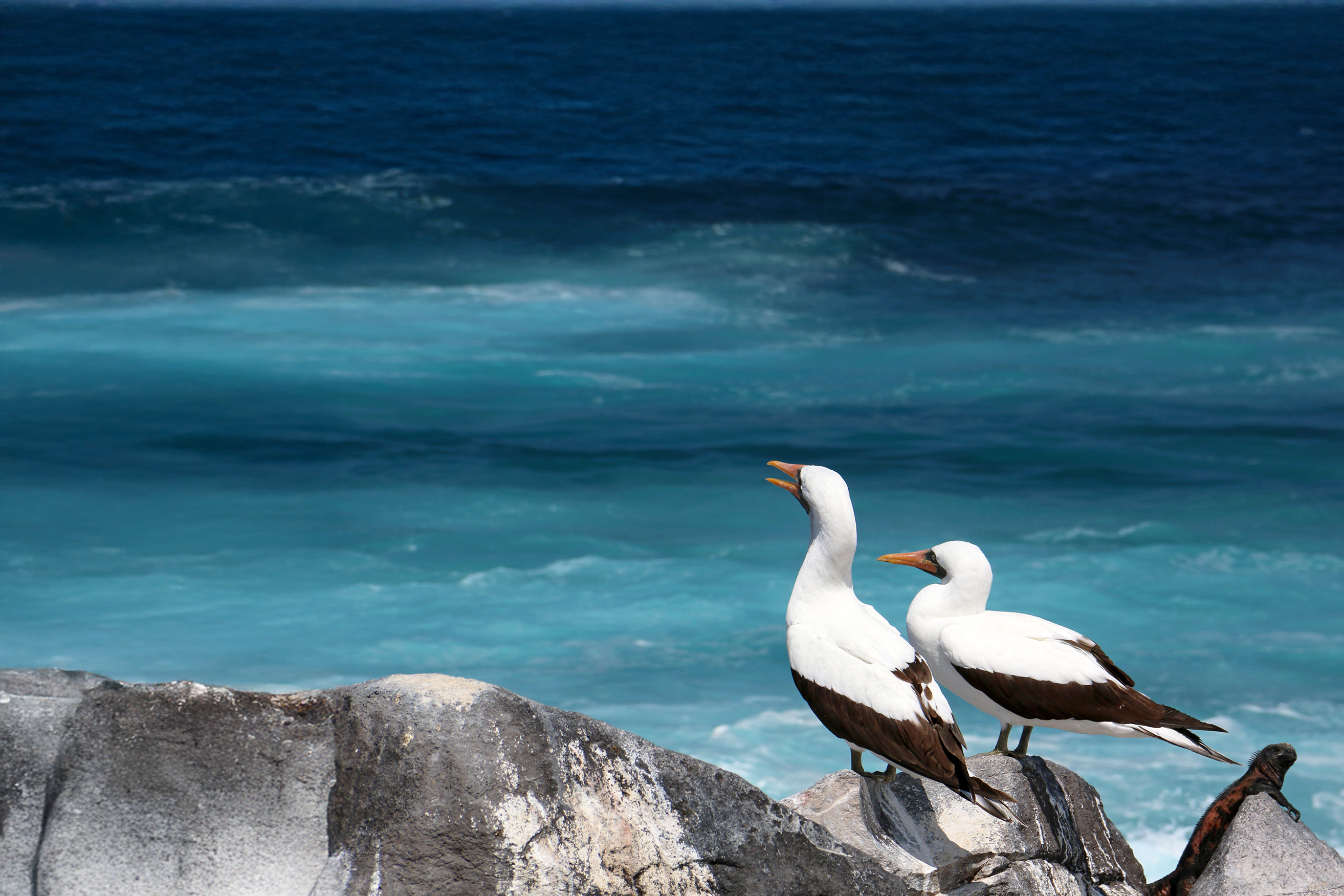 Seychelles