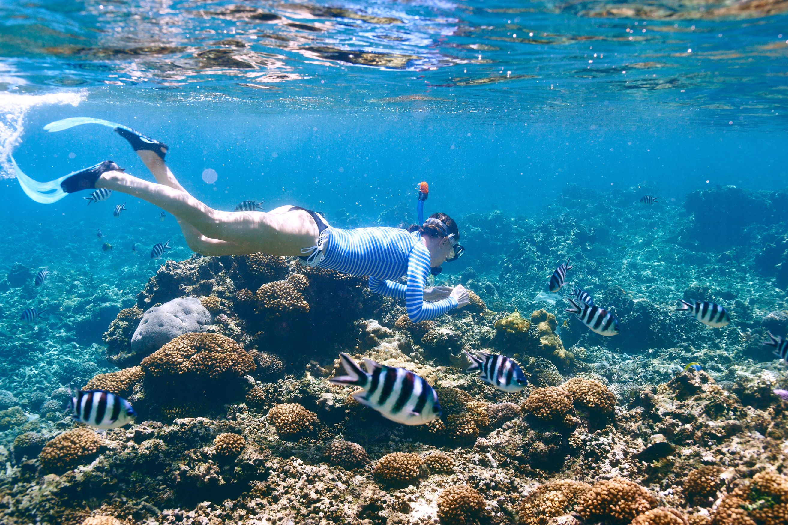 swimmingseychelles_Body Image w caption (Bleed) Template_PC.jpg