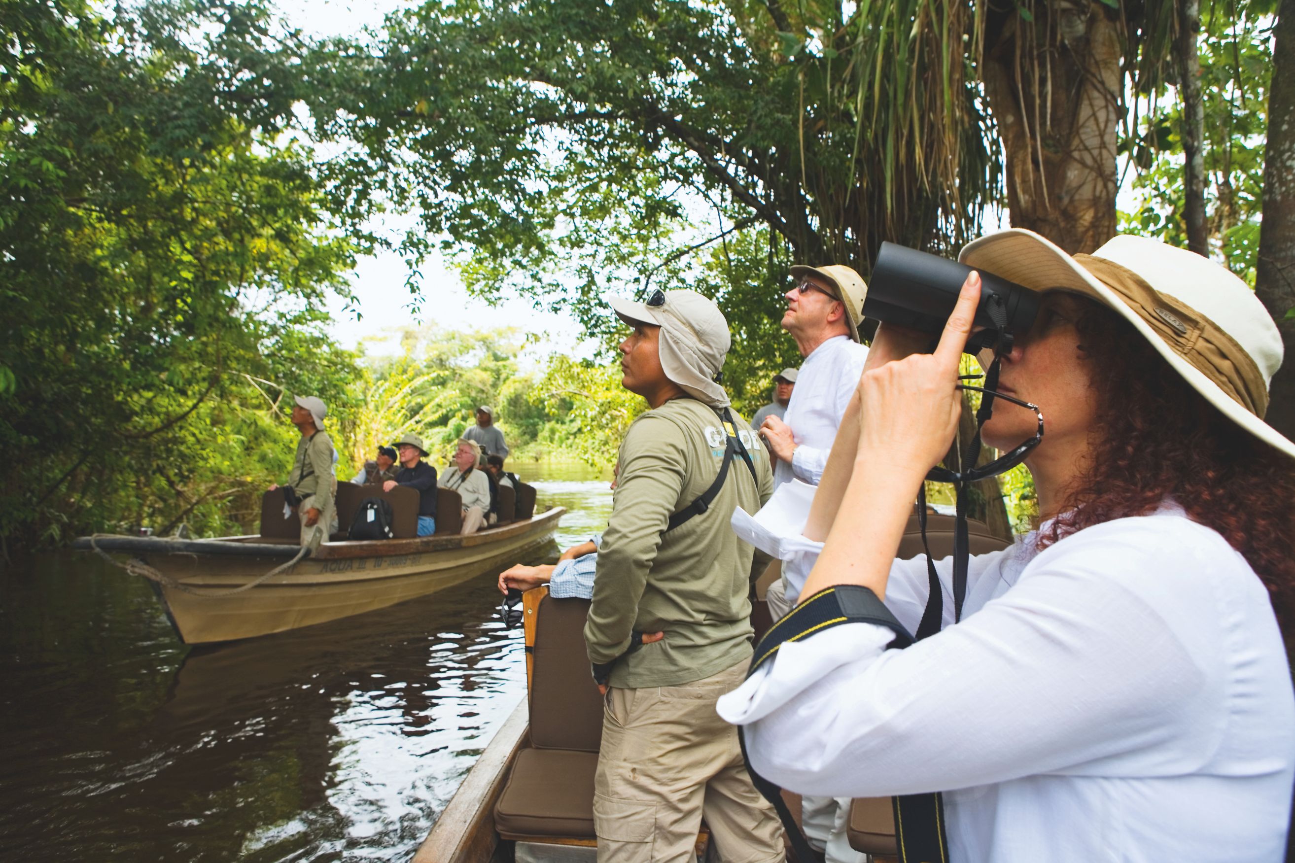 amazonbirdwatching