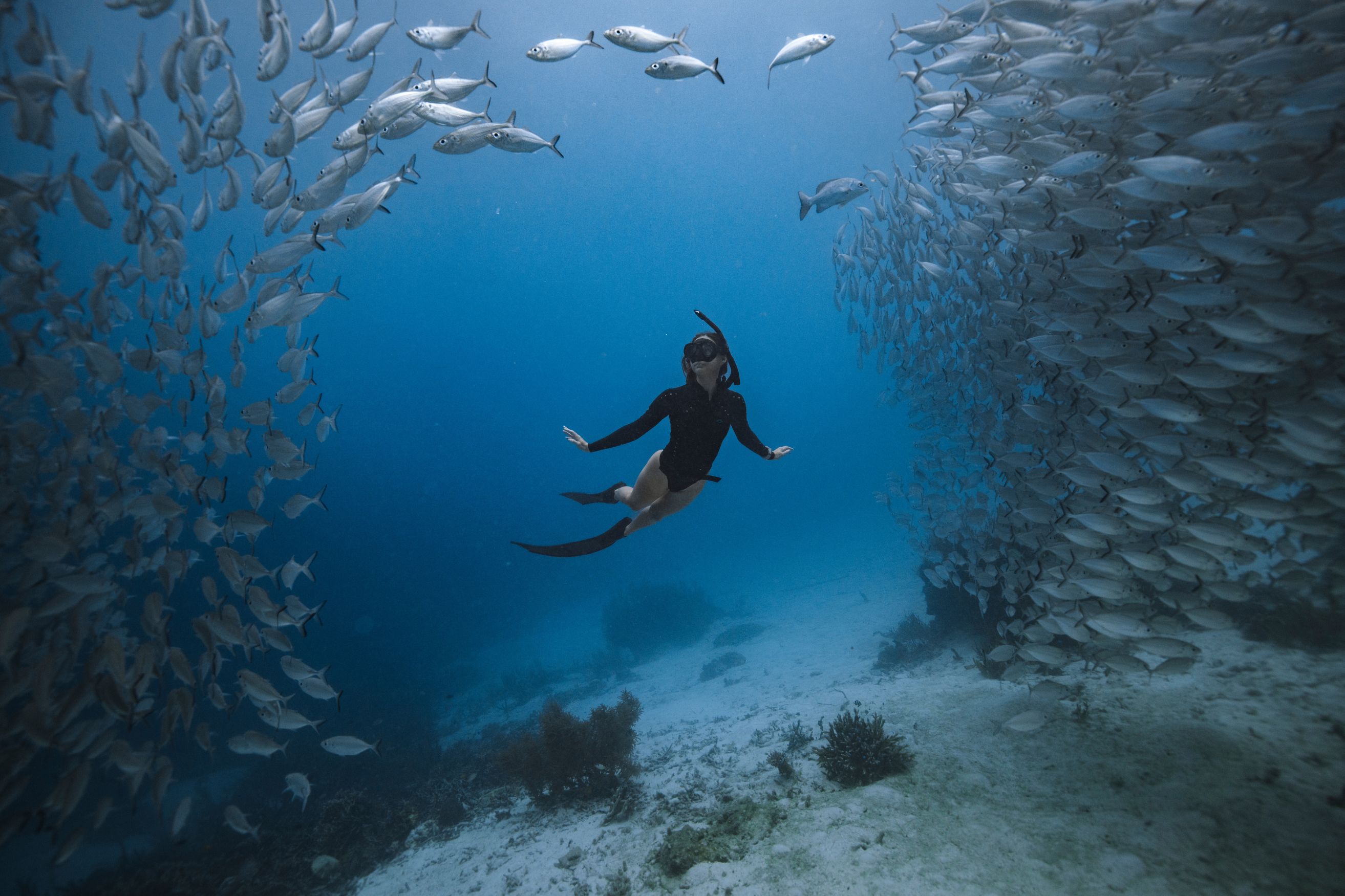 honeymoon_july_blusnorkel2.jpg