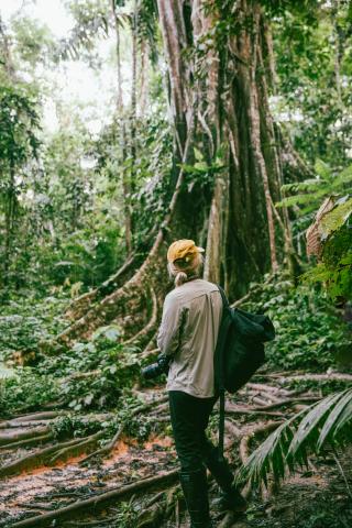 Amazon - Jungle Trekking - 01