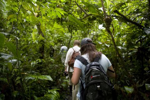 Amazon - Jungle Trekking