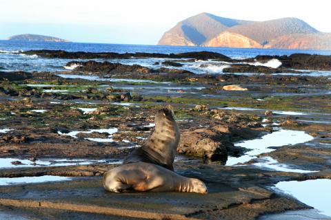 Galapagos cruise