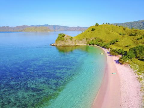 pink beach