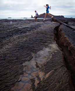 North Seymour Island