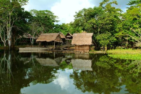 Amazon river cruise