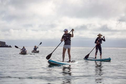 Aqua Mare_Standup Paddling