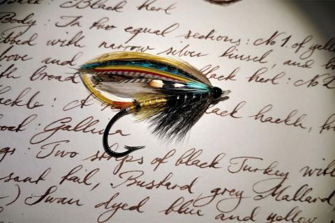 The feather thief