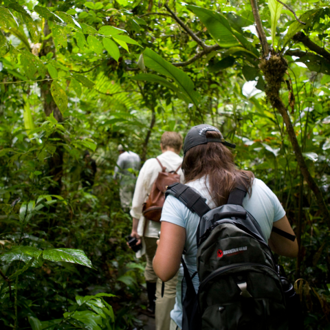guided hikes