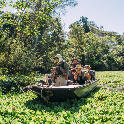 amazon skiff tour