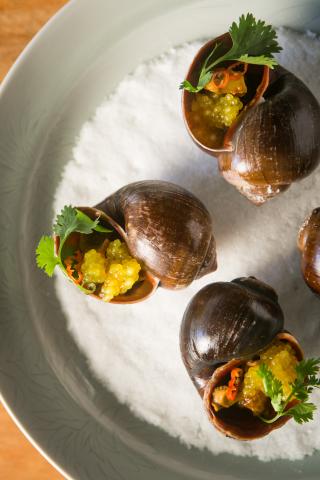 Spicy River Snails with Tapioca and Turmeric Sofrito