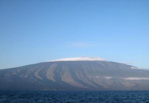 wolf volcano