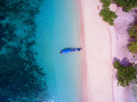 pink beach