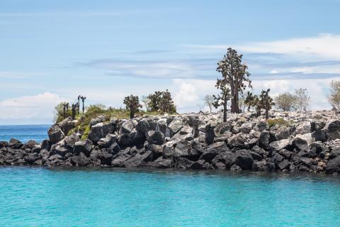turquoise-waters-santa-fe-island