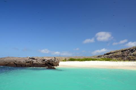 white-sandy-beach-genovesa-beach