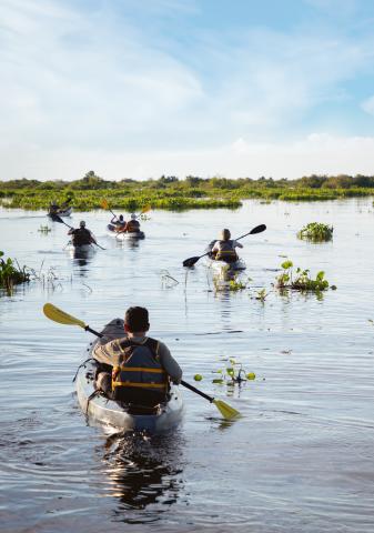 Mekong 