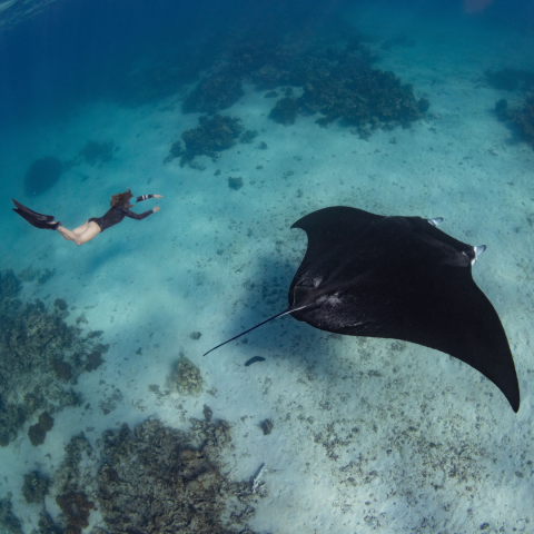 New Website - Indonesia Private Charter