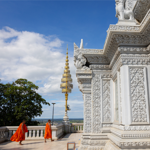 New Website - Mekong Cruise - Temple Visits