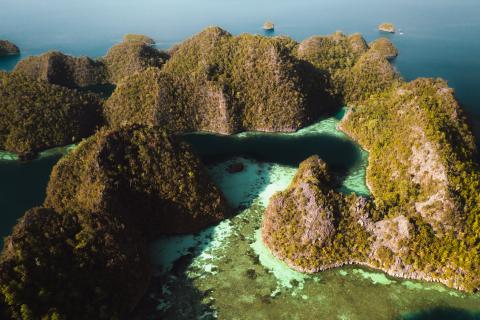 raja ampat wayii