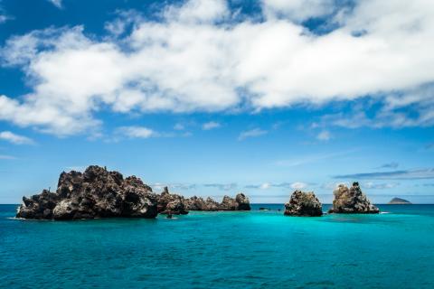 devils-crown-floreana-island-punta-cormorant