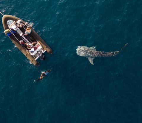 Private charter
