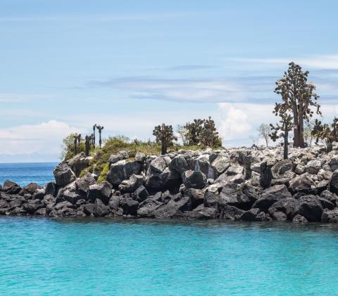 turquoise-waters-santa-fe-island_PC