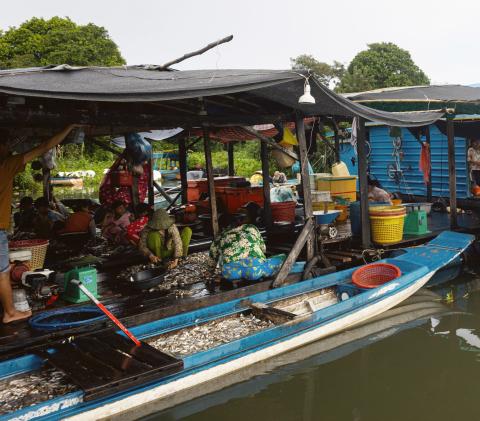 Life along the river