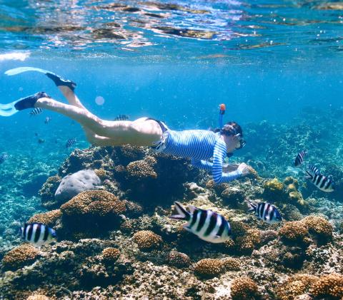 Diving at Astove