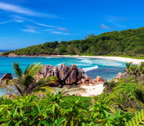 The Seychelles
