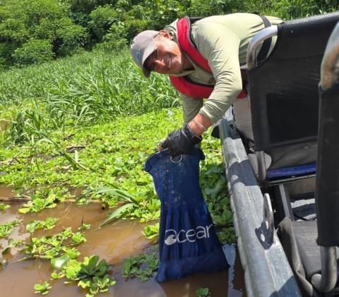 River Cleanup
