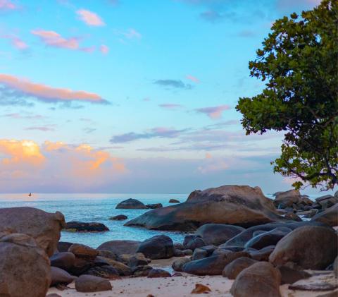 A beach in Mahe